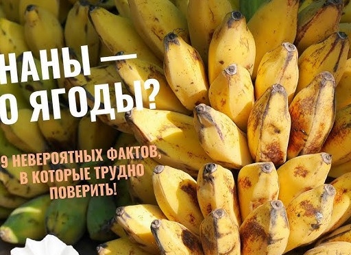 14 шокирующих фактов, которые вы не знали о Grand Theft Auto V